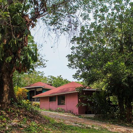 Winíka Alterra Palenque Exterior foto