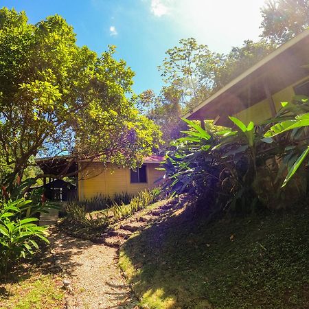Winíka Alterra Palenque Exterior foto