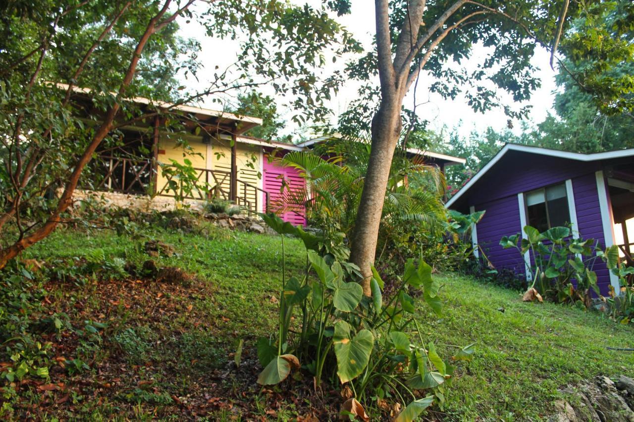 Winíka Alterra Palenque Exterior foto