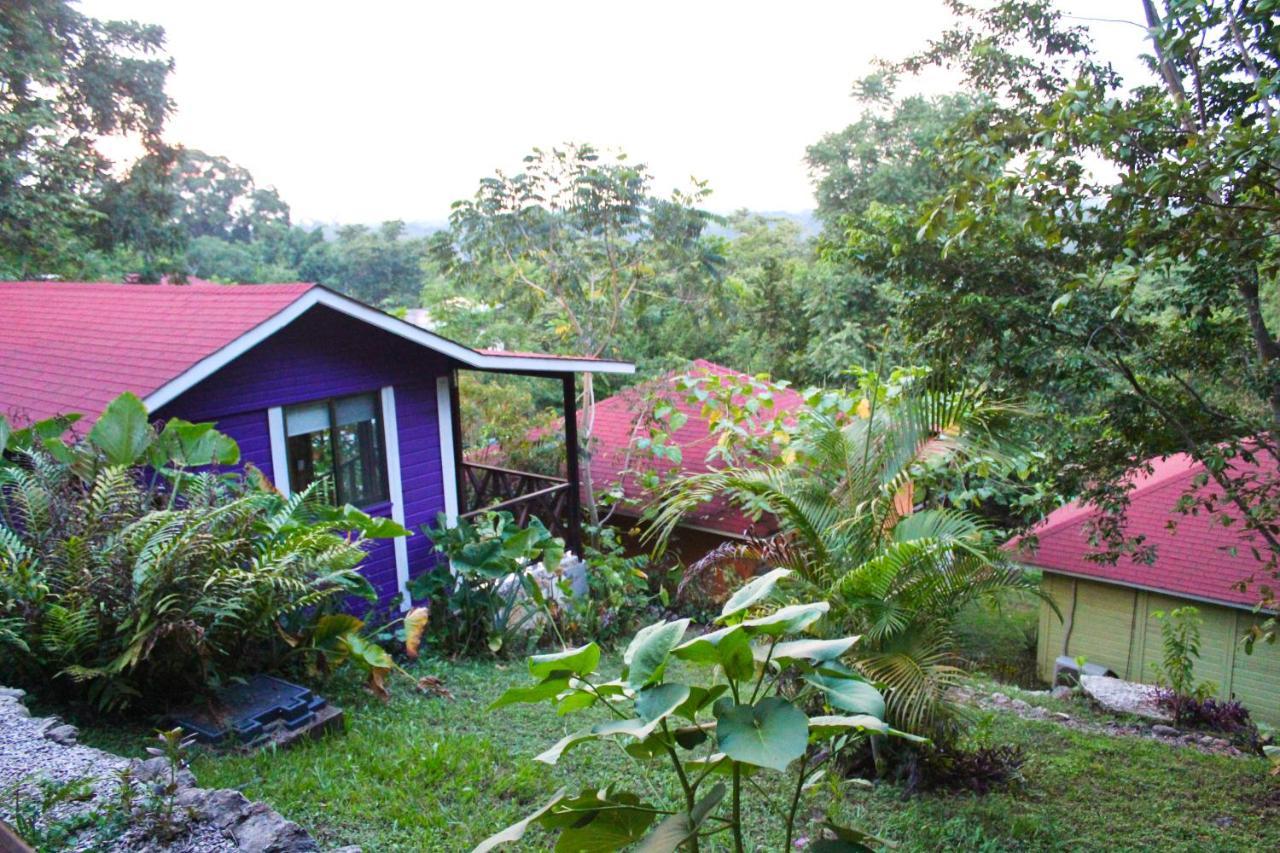 Winíka Alterra Palenque Exterior foto