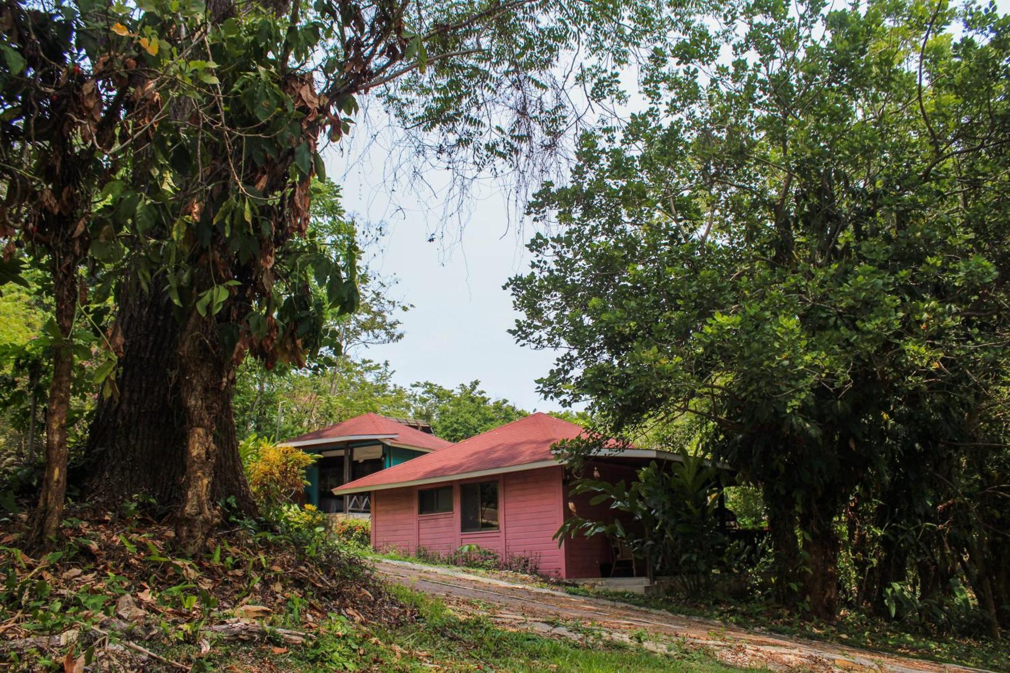 Winíka Alterra Palenque Exterior foto