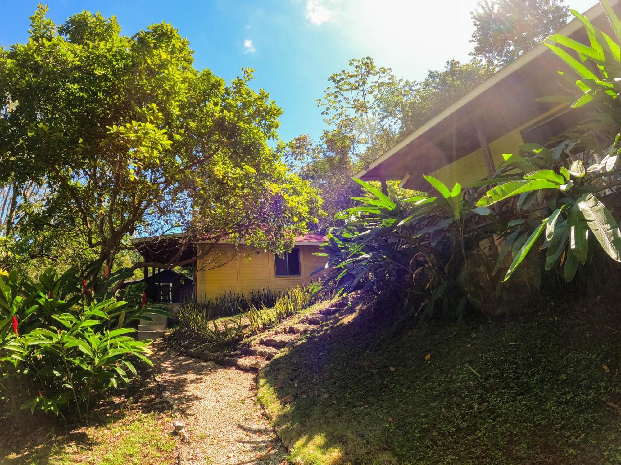 Winíka Alterra Palenque Exterior foto